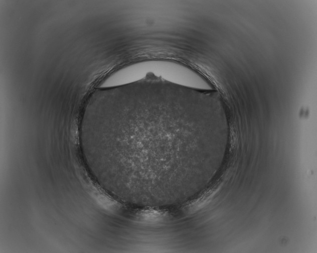 X0000090770453200708031656