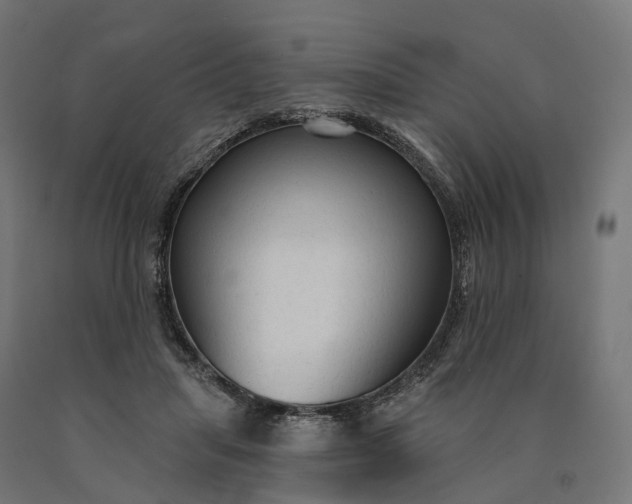 X0000090770455200708031656