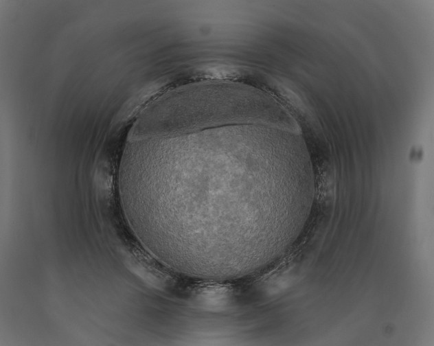 X0000090770456200708031656