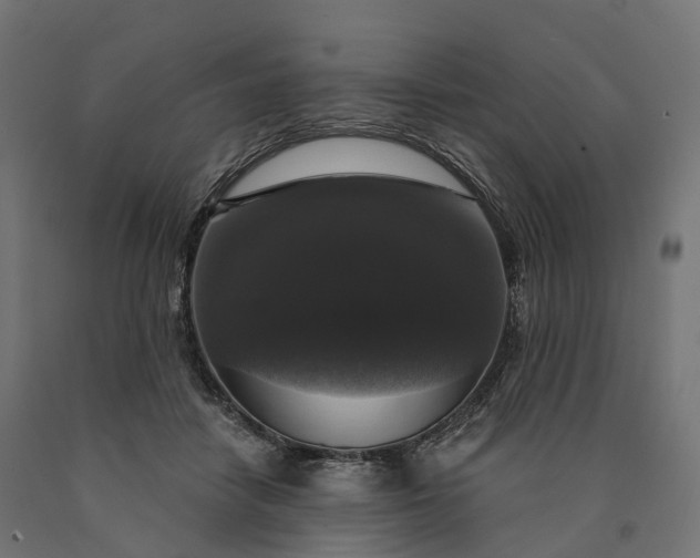 X0000090770458200708031656