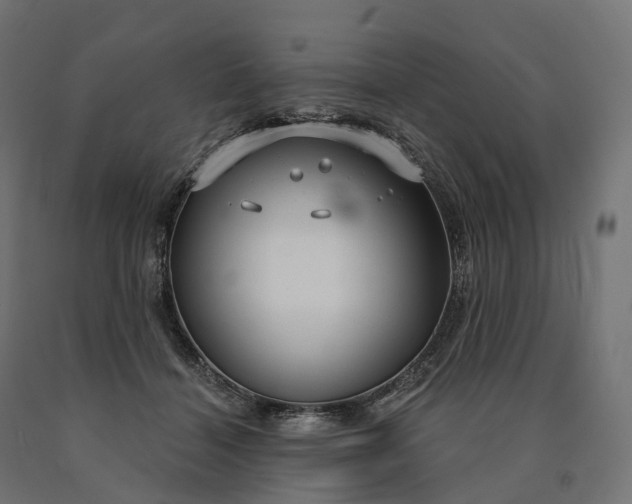 X0000090770460200708031656