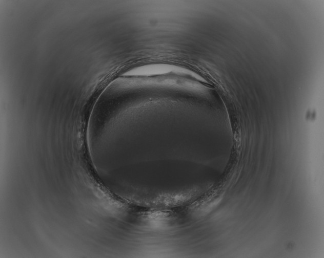 X0000090770462200708031656