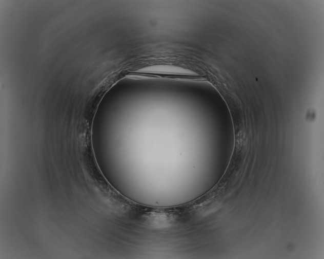 X0000090770464200708031656
