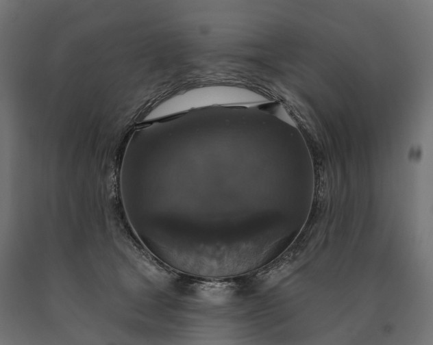 X0000090770465200708031656