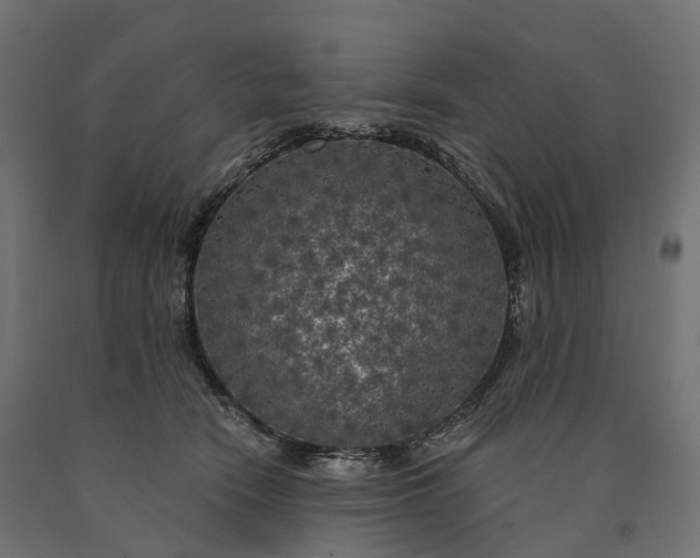 X0000090770466200708031656