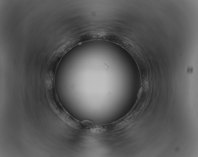 X0000090770468200708031656