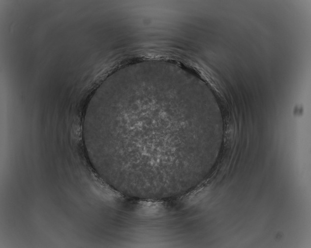 X0000090770469200708031656