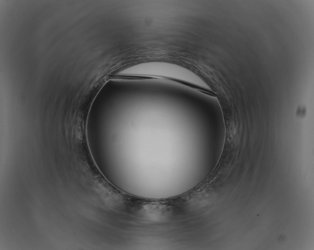 X0000090770470200708031656