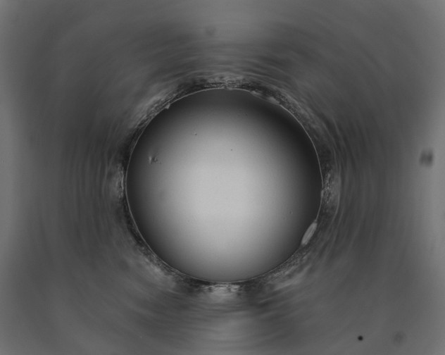 X0000090770474200708031656