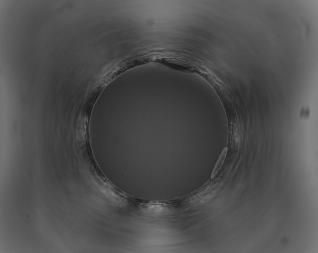 X0000090770475200708031656