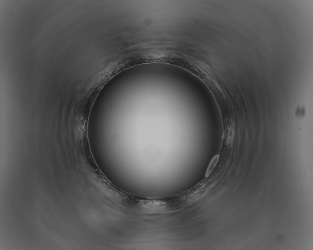 X0000090770476200708031656