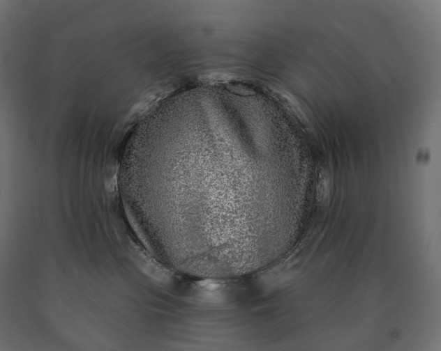 X0000090770477200708031656