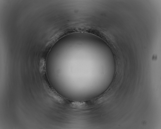 X0000090770480200708031657