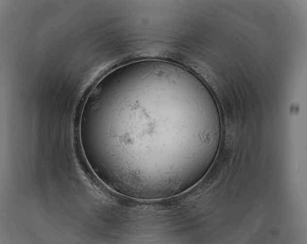 X0000090770482200708031656