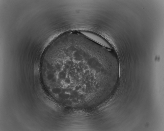 X0000090770483200708031656