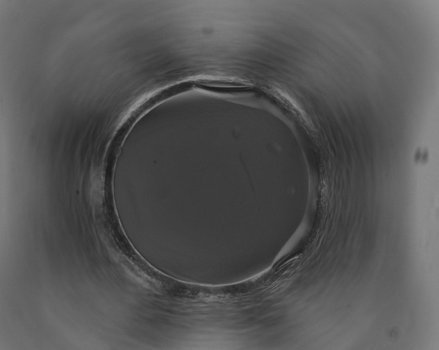 X0000090770484200708031656
