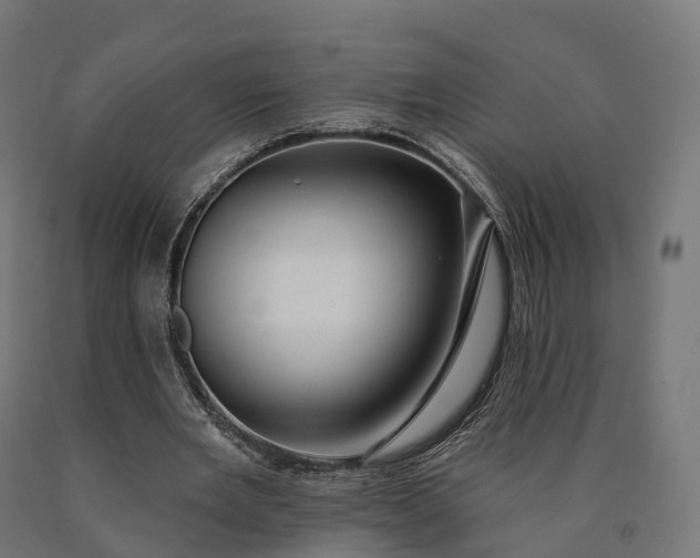 X0000090770485200708031656