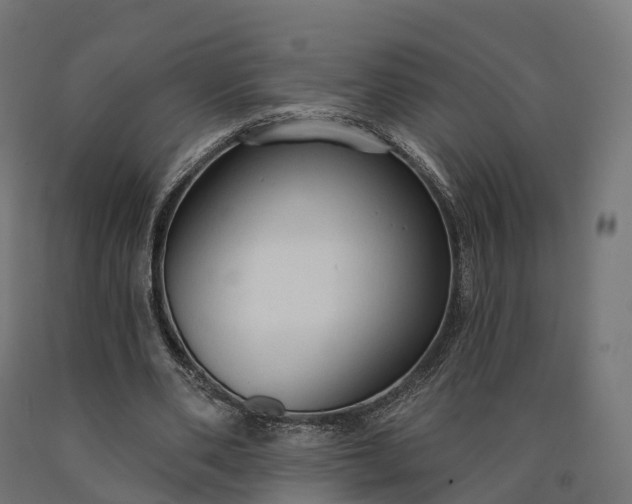X0000090770486200708031656