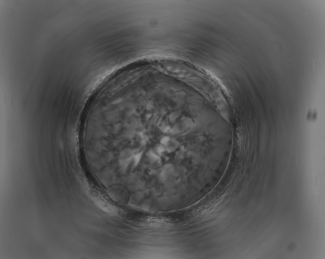 X0000090770487200708031656