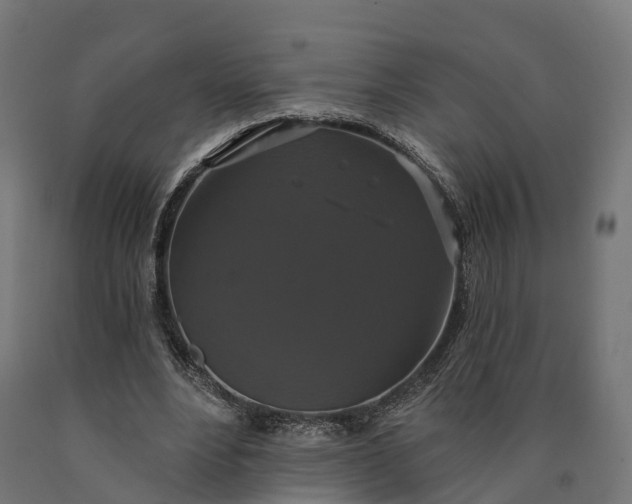 X0000090770488200708031656