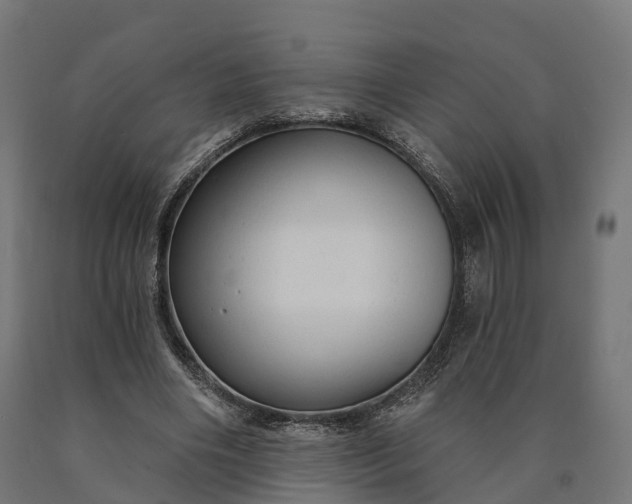 X0000090770490200708031656