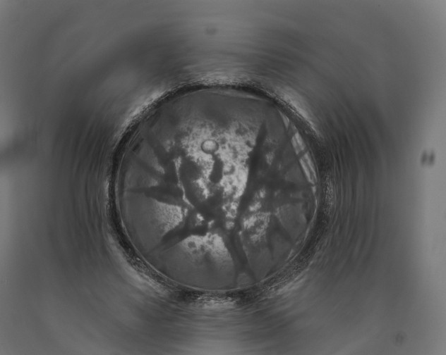 X0000090770491200708031656