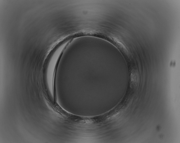 X0000090770492200708031656