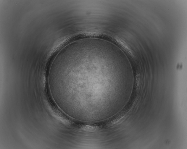 X0000090770494200708031656