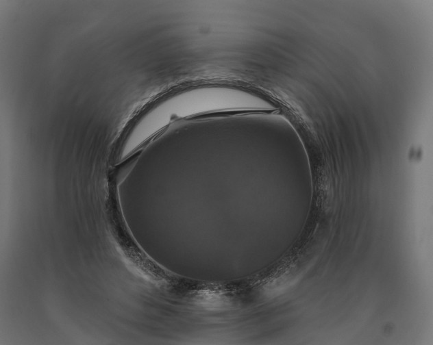 X0000090770496200708031656