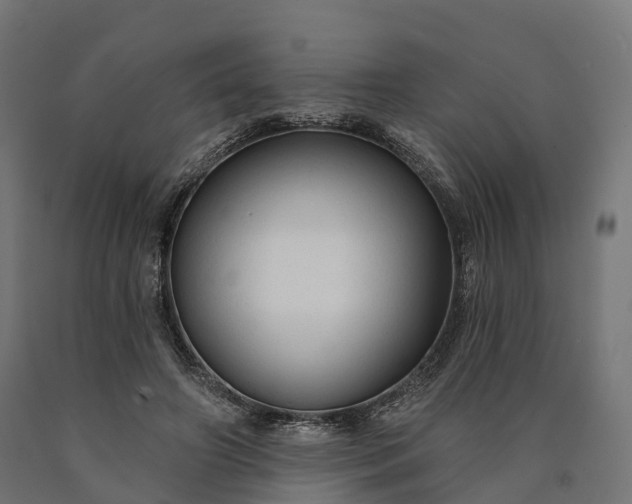 X0000090770498200708031656