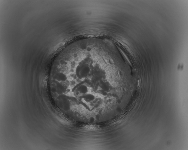 X0000090770499200708031656