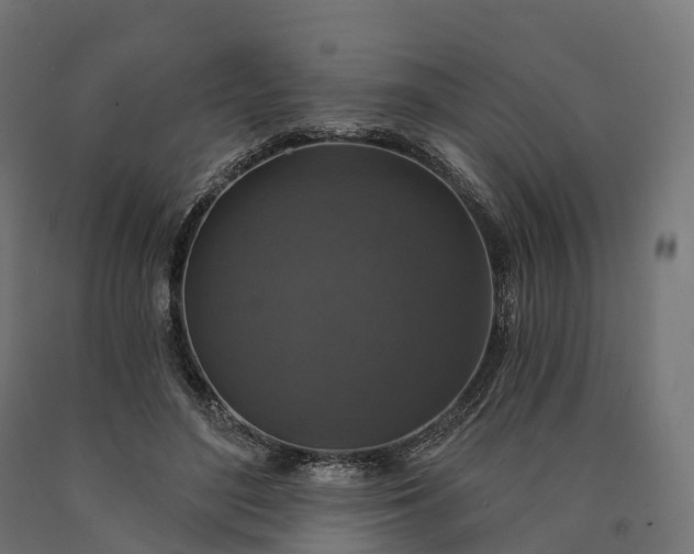 X0000090770500200708031656