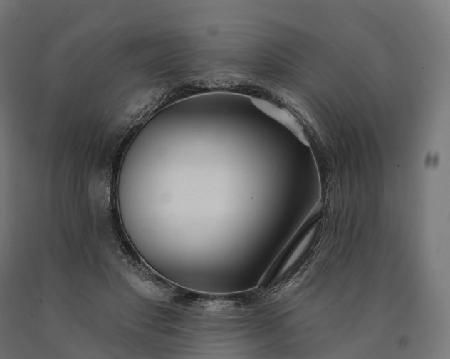 X0000090770501200708031656