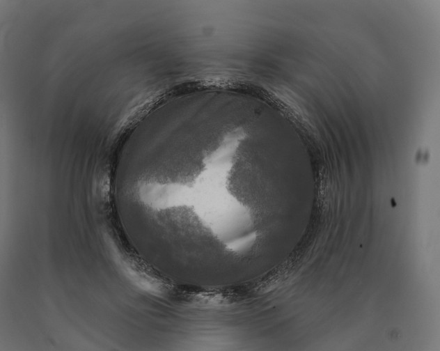 X0000090770502200708031656