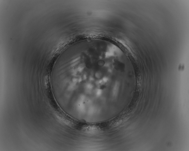 X0000090770503200708031656
