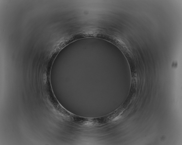 X0000090770504200708031656