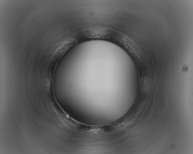 X0000090770505200708031656
