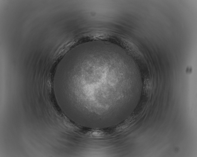 X0000090770506200708031656