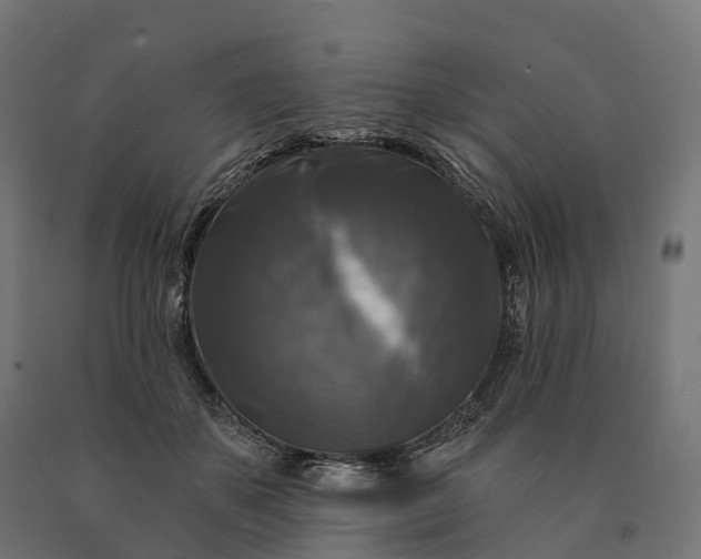X0000090770507200708031656