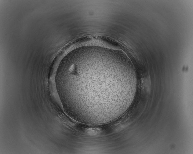 X0000090770508200708031655