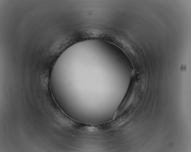 X0000090770509200708031655