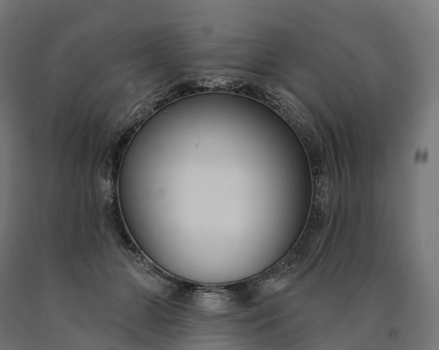 X0000090770510200708031655