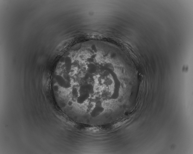 X0000090770511200708031655