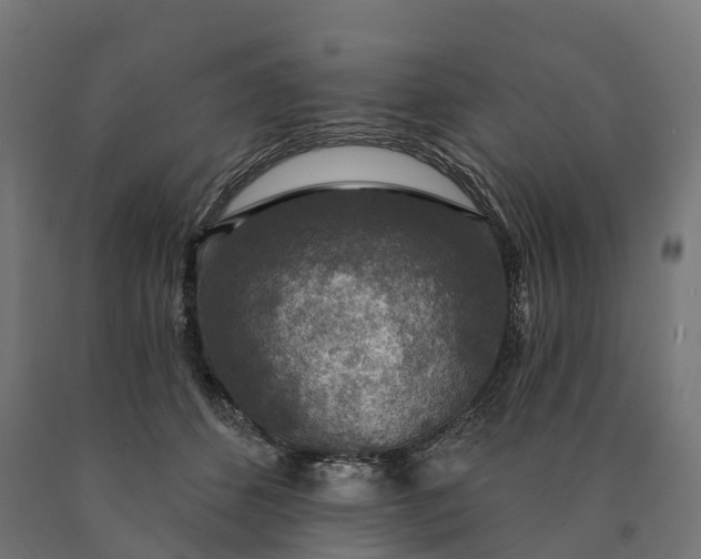 X0000090770512200708031655