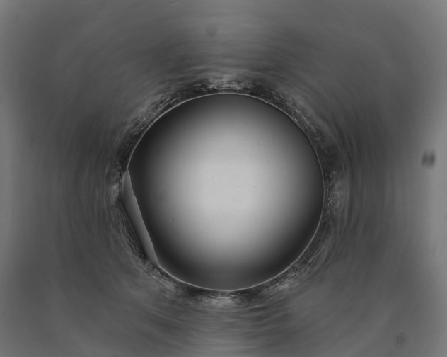 X0000090770513200708031655