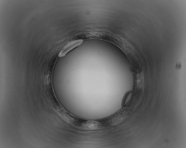 X0000090770514200708031655