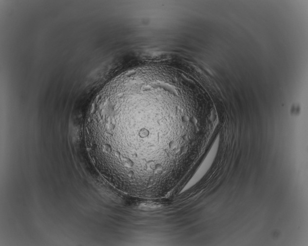 X0000090770515200708031655