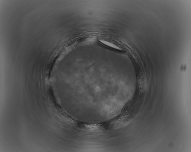 X0000090770516200708031655