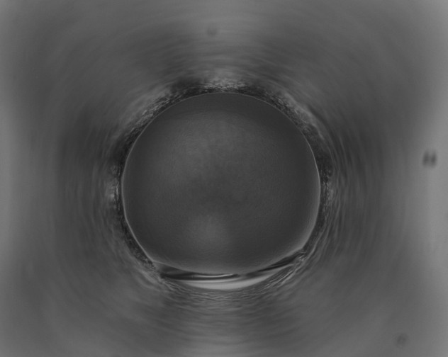 X0000090770517200708031655