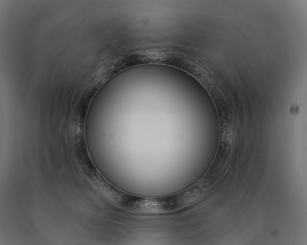 X0000090770518200708031655